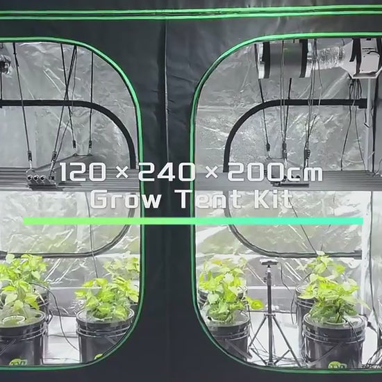 600D Oxford Fabric Grow Tent with Metal Frame 240x120x200 cm